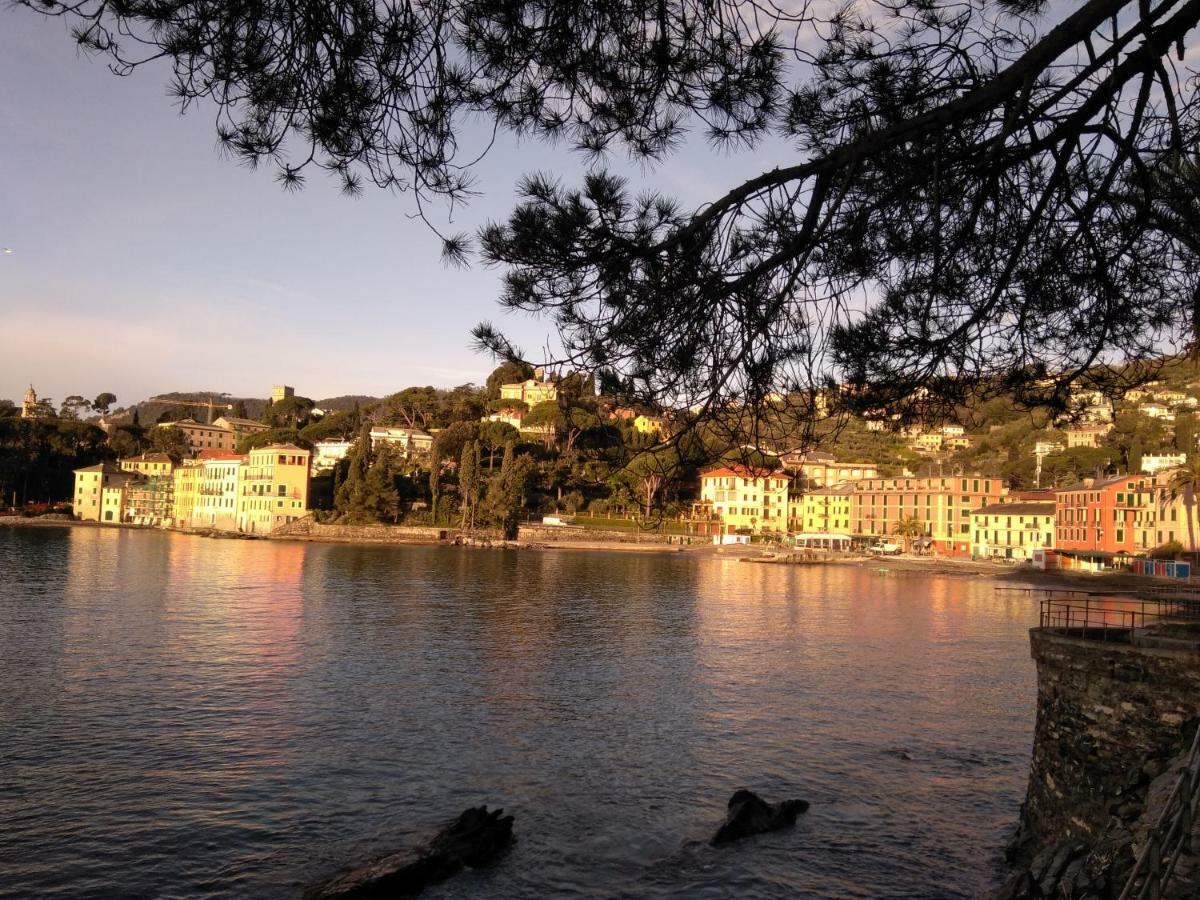 Apartment Margherita Rapallo
